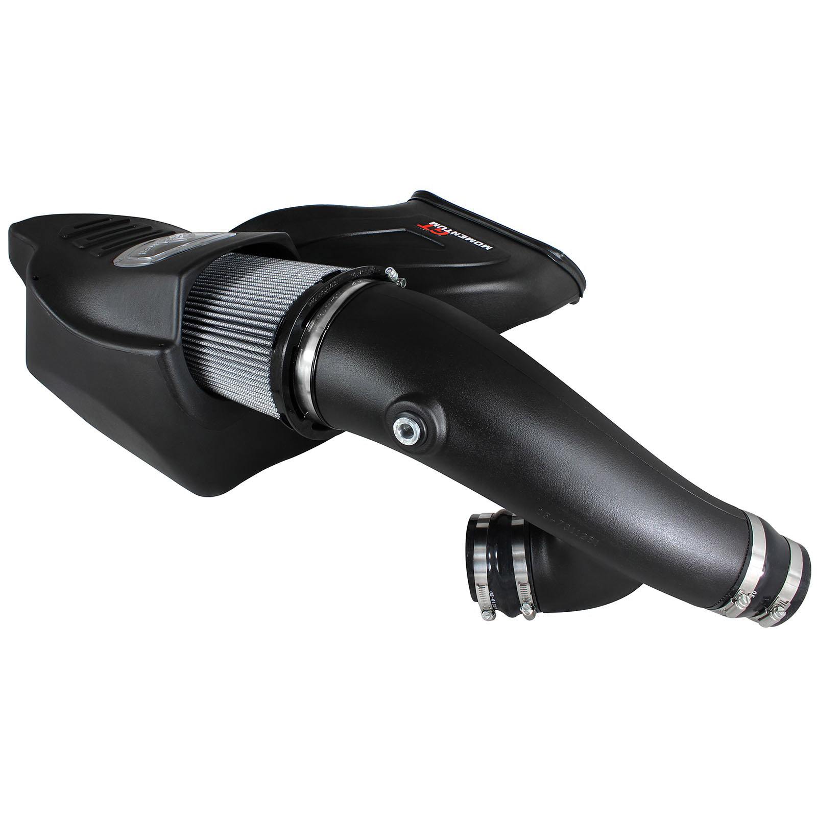 Momentum GT Cold Air Intake System w/ Pro DRY S Filter