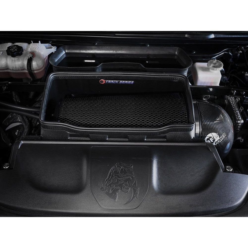 Track Series Carbon Fiber Cold Air Intake System W/ Black Pro 5R Filter- AFE-57-10022K