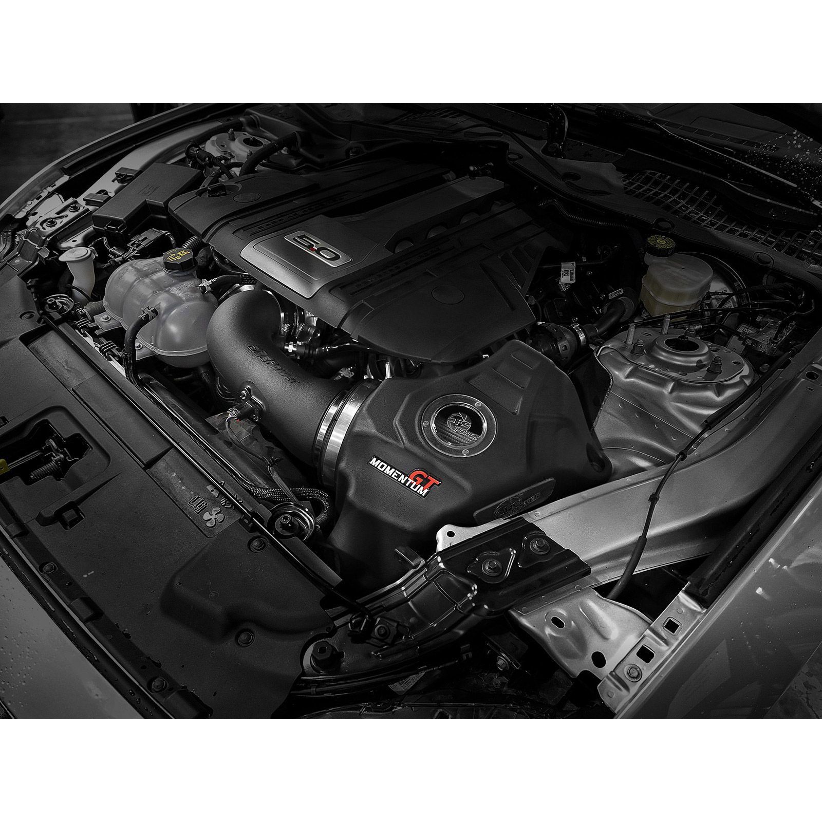 Momentum GT Cold Air Intake System