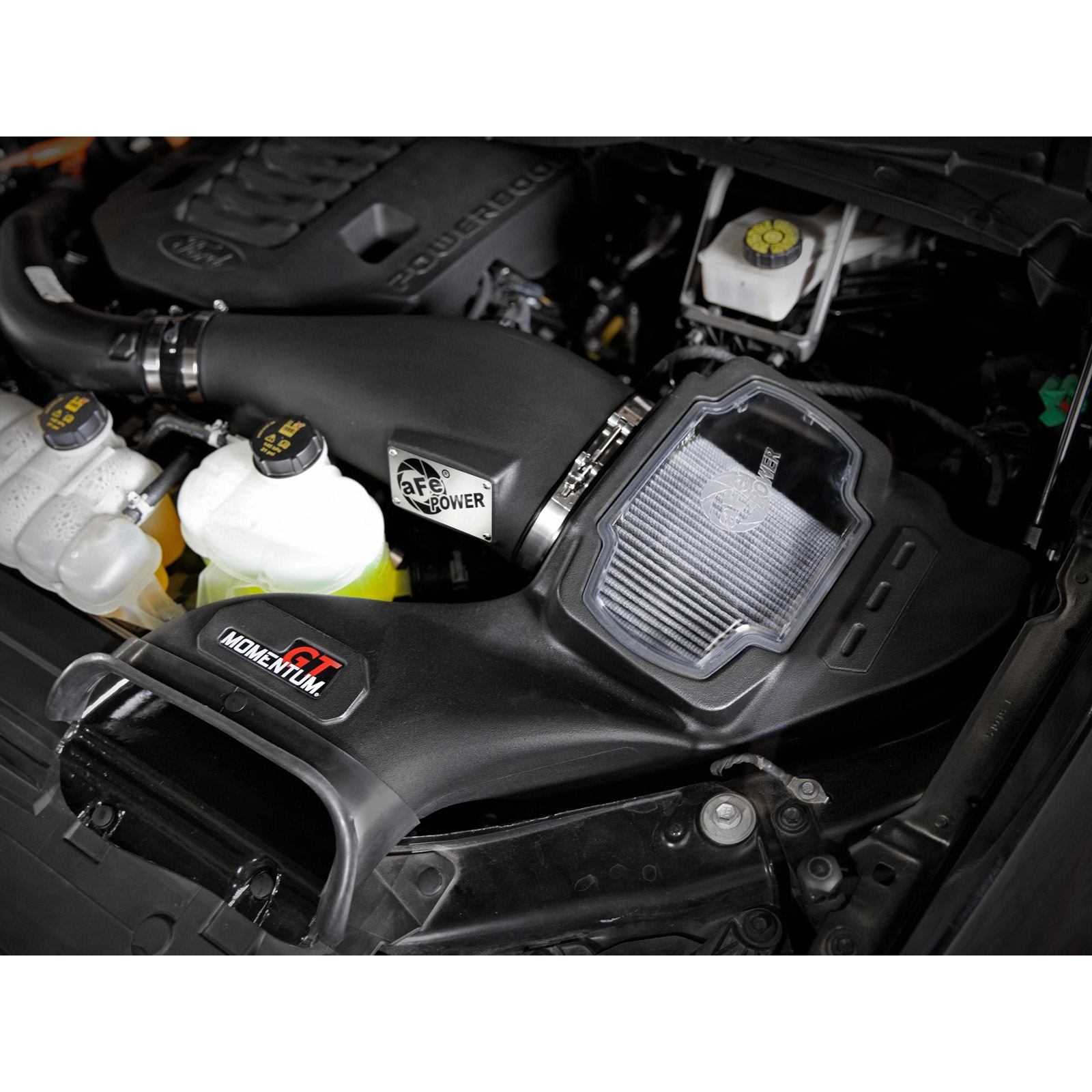 Momentum GT Cold Air Intake System w/ Pro DRY S Filter
