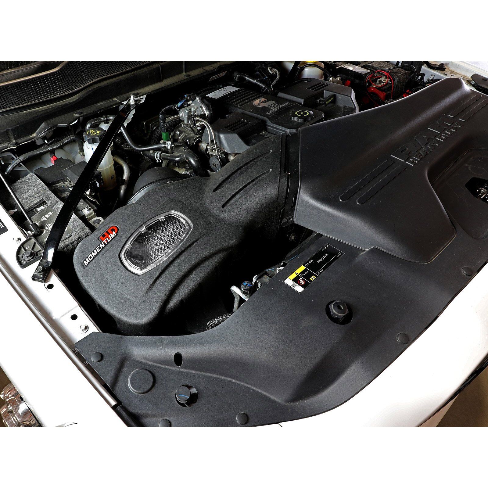 Momentum HD Cold Air Intake System w/ Pro DRY S Filter